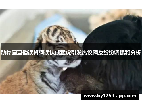 动物园直播误将狗误认成猛虎引发热议网友纷纷调侃和分析